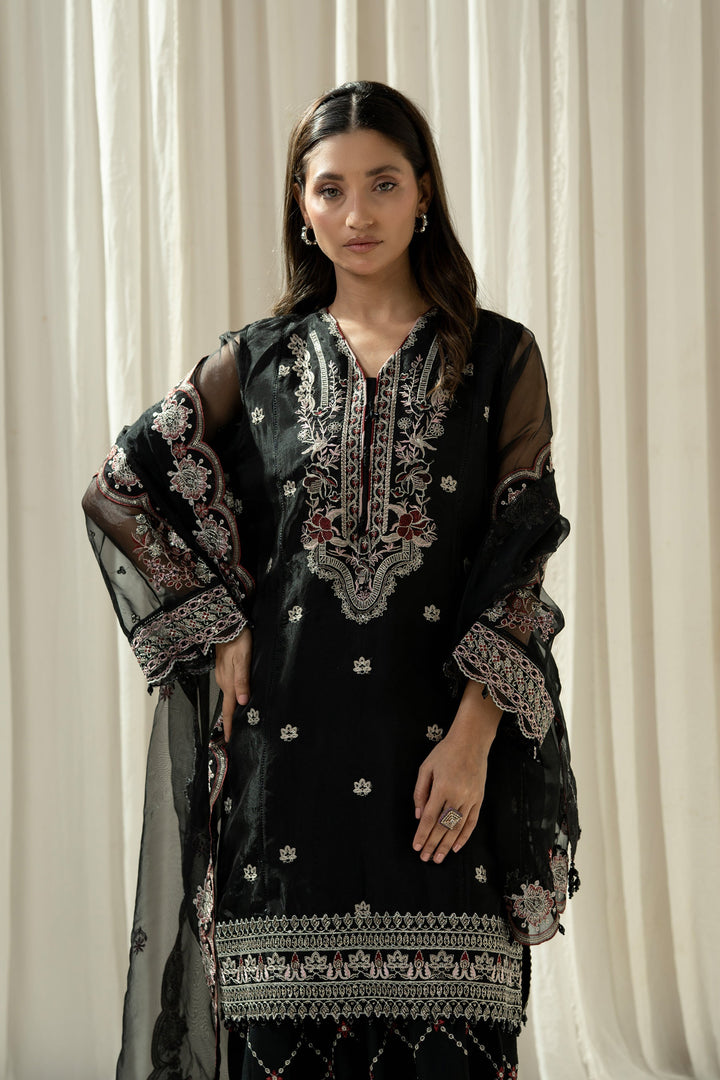 Embroidered Organza Black Stitched Suit - Zeen