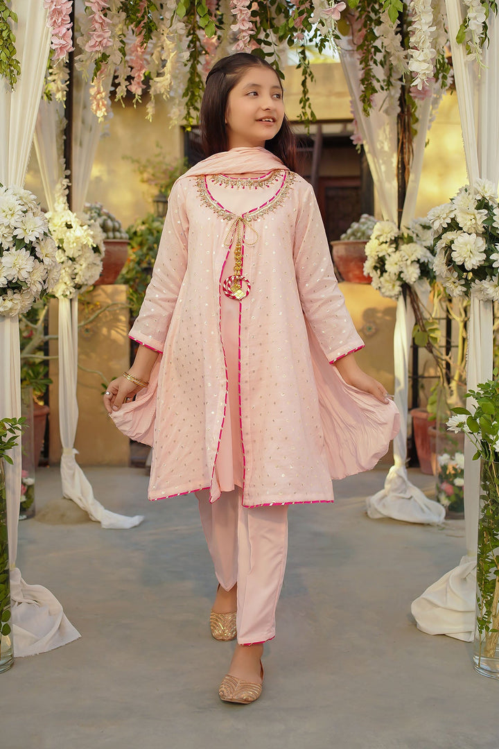 Zari Jacquard Hand Adda Work Light Peach Stitched Suit - Ochre