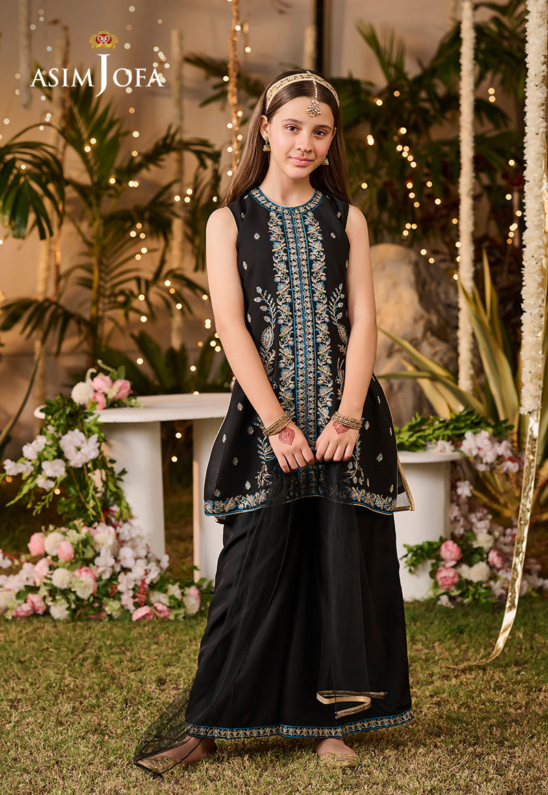 Poly Chiffon Black Stitched Suit - Asim Jofa