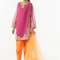 Cotton Net Multi Stitched Suit - Sana Safinaz