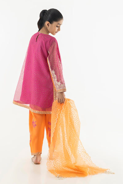 Cotton Net Multi Stitched Suit - Sana Safinaz