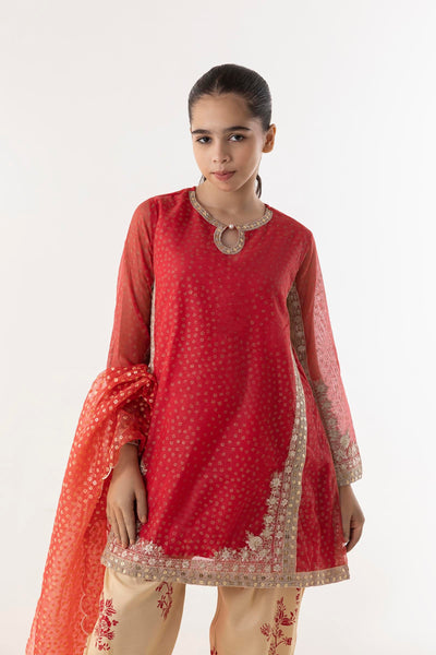 Cotton Net Beige & Red Stitched Suit - Sana Safinaz