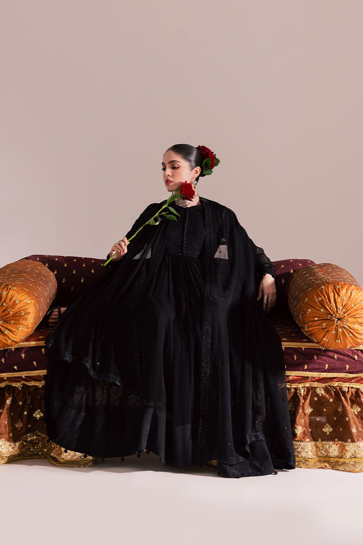 Chiffon & Raw Silk Black Stitched Suit - Vanya