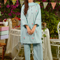 Chikankari Embroidered Blue Stitched Suit - Ochre