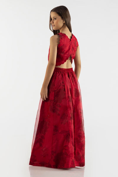 Organza Red Stitched Suit - Sana Safinaz