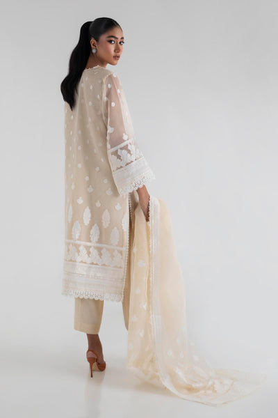 Yard Dyed Organza Beige Stitched Suit - Sana Safinaz