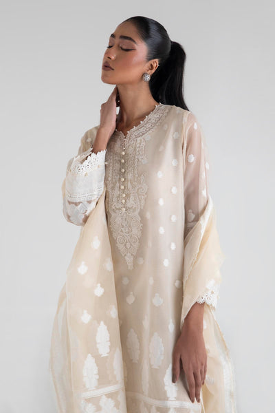 Yard Dyed Organza Beige Stitched Suit - Sana Safinaz