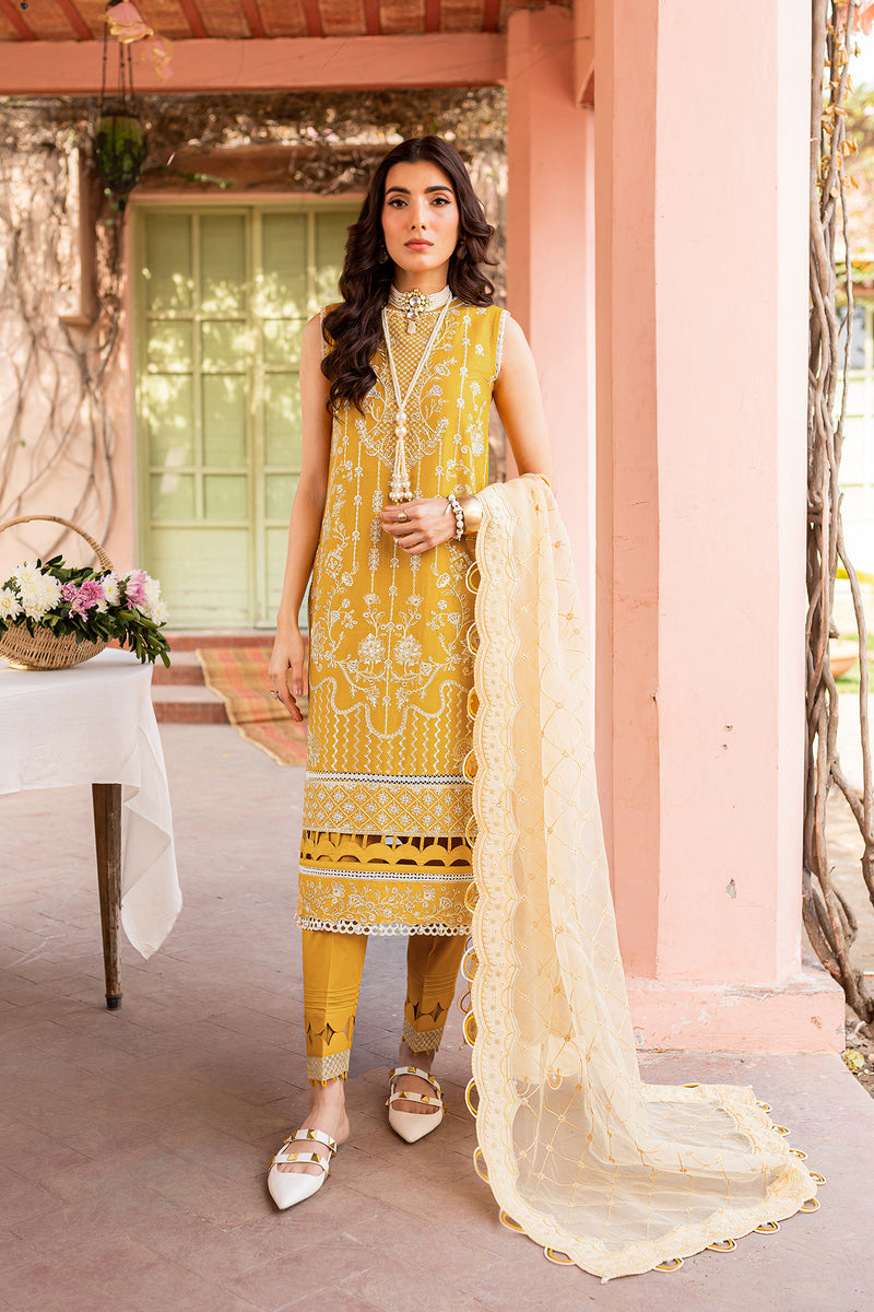 Chambeli 3 Piece Suit - Farasha Bahaar Collection